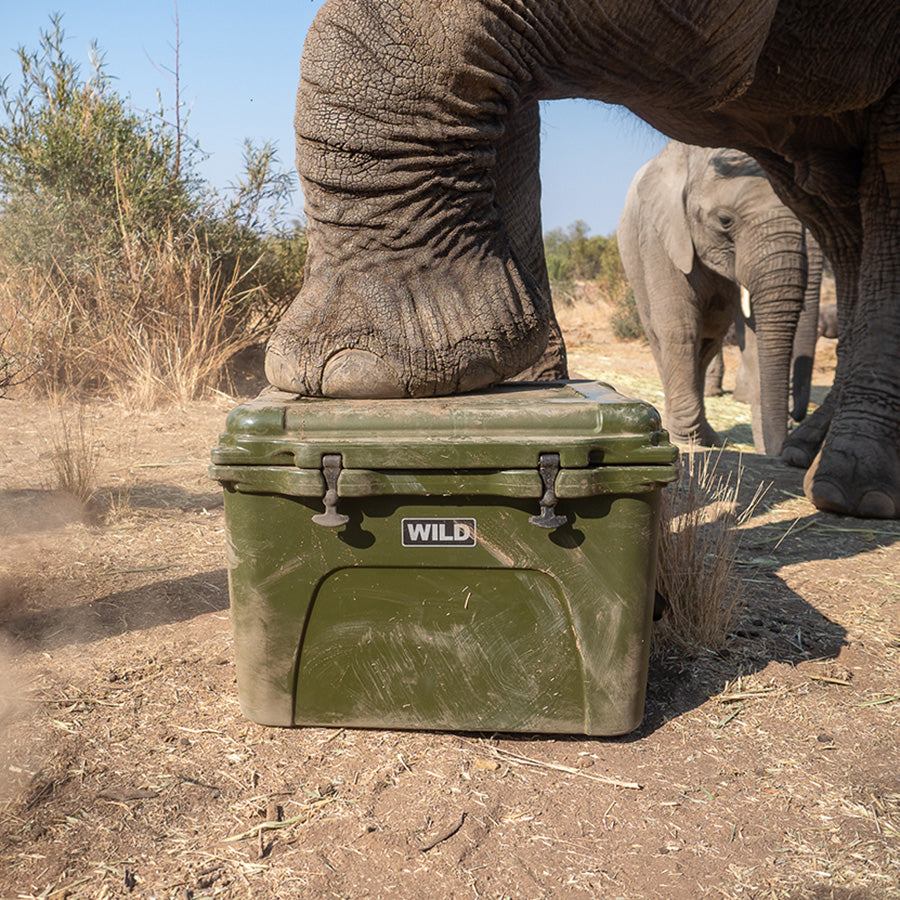 Coolers