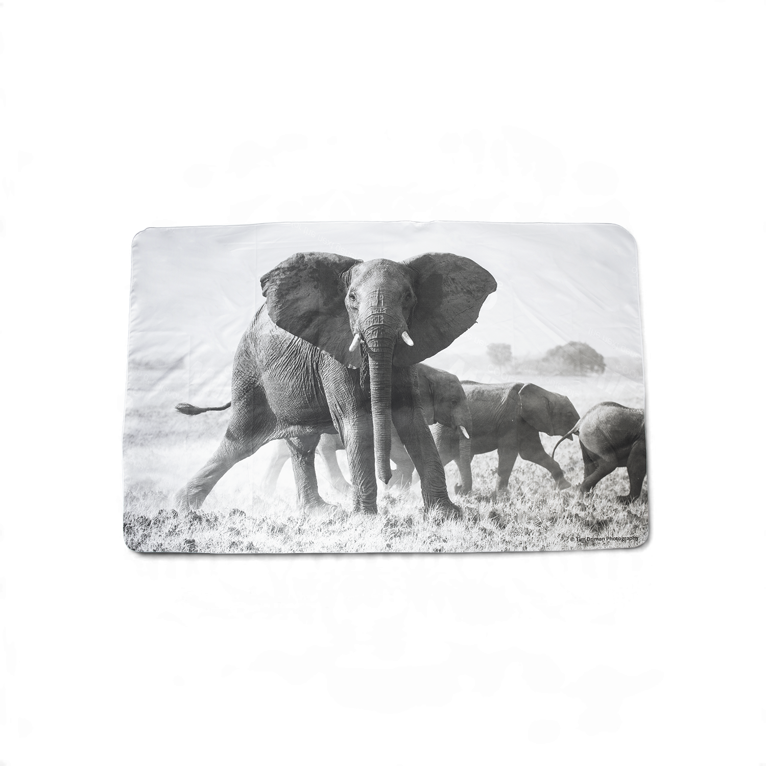 WILD Towel | Elephant Herd - WILD Coolers