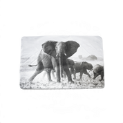 WILD Towel | Elephant Herd - WILD Coolers